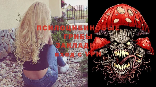 прущие грибы Алексеевка