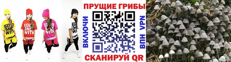 наркотики  кракен зеркало  Псилоцибиновые грибы MAGIC MUSHROOMS  Бавлы 